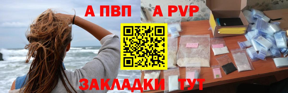 A PVP СК Новосибирск