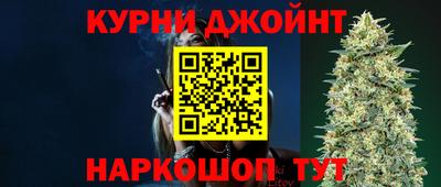 гидра Гай